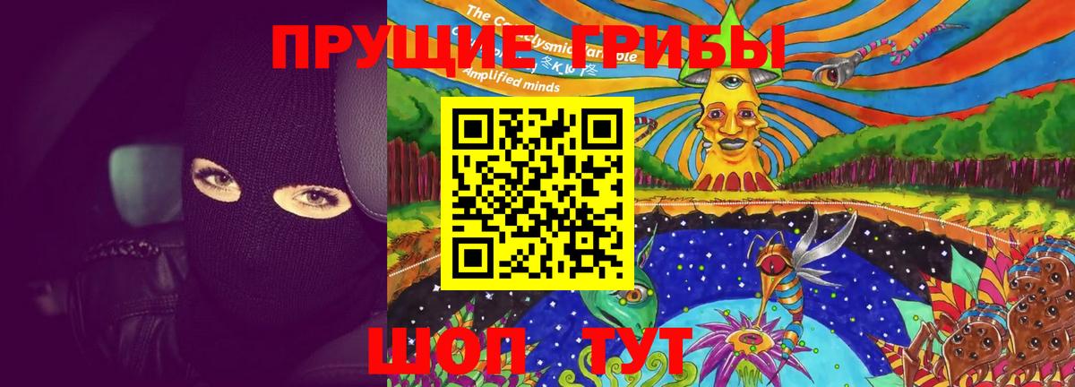 Псилоцибиновые грибы прущие грибы  Псилоцибиновые грибы Magic Shrooms  Осинники  Вход с VPN 